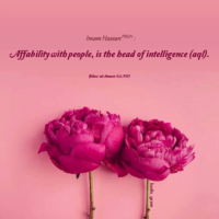 Two pink flowers on a pink background with quote containing a Hadith from Imam Hassan PBUH about affability